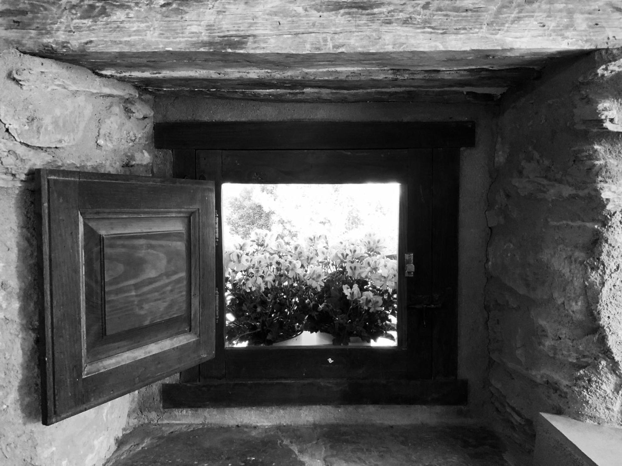 Maison d'hôtes La Grulla Gris à Perales del Puerto Extérieur photo